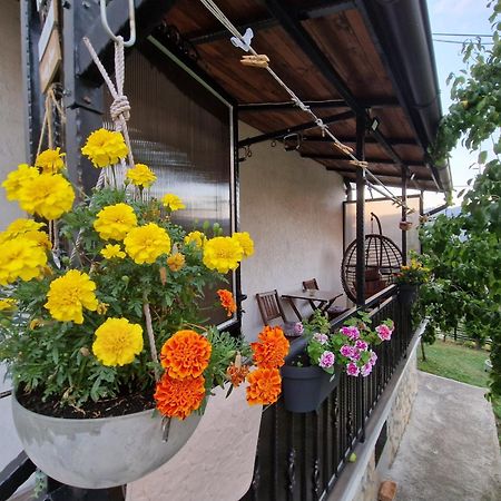 Garden Of Dreams & Free Private Parking Apartment Sarajevo Bagian luar foto